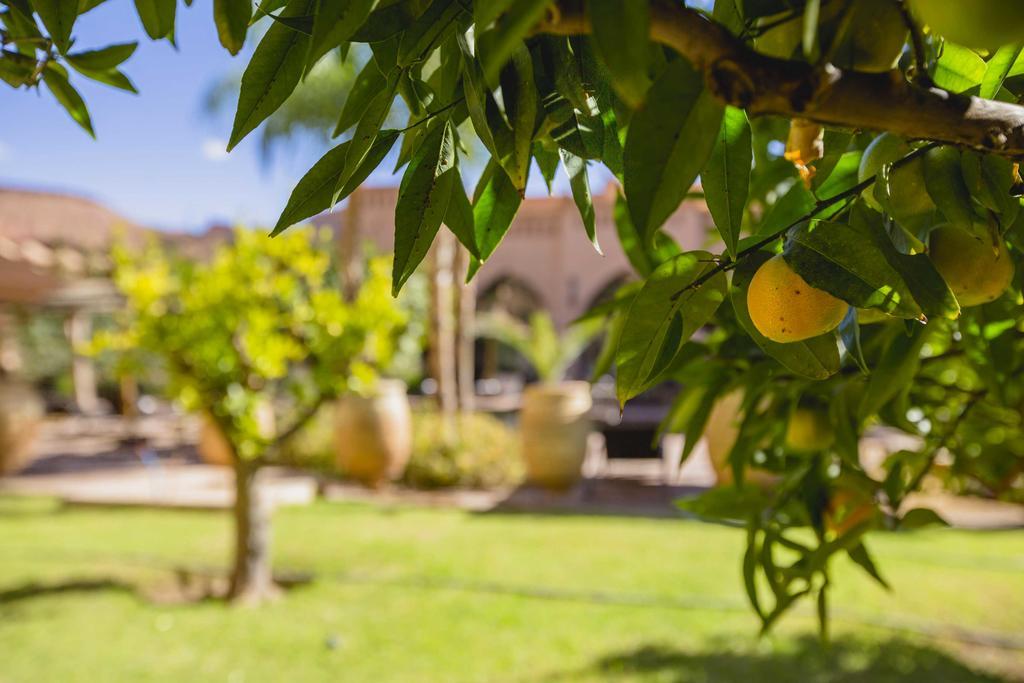 Ksar Ighnda Hotel Ait Benhaddou Ngoại thất bức ảnh